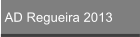 AD Regueira 2013
